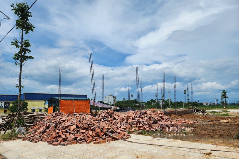 Trao đổi với phóng viên Báo Lao Động, ông Lê Văn Thành - Giám đốc Văn phòng Đăng ký đất đai và Phát triển quỹ đất huyện Lâm Thao - cho biết, giai đoạn II của dự án đã hoàn thành xây dựng hạ tầng kỹ thuật. Vừa qua, huyện đã tổ chức một đợt đấu giá, đến nay đã đấu được 69 ô đất.