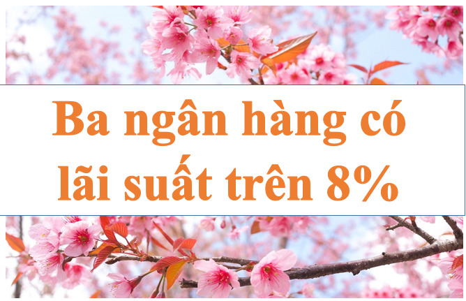 銀行金利は継続的に上昇しており、3つの銀行は金利が8%を超えています。写真:Ha Vy