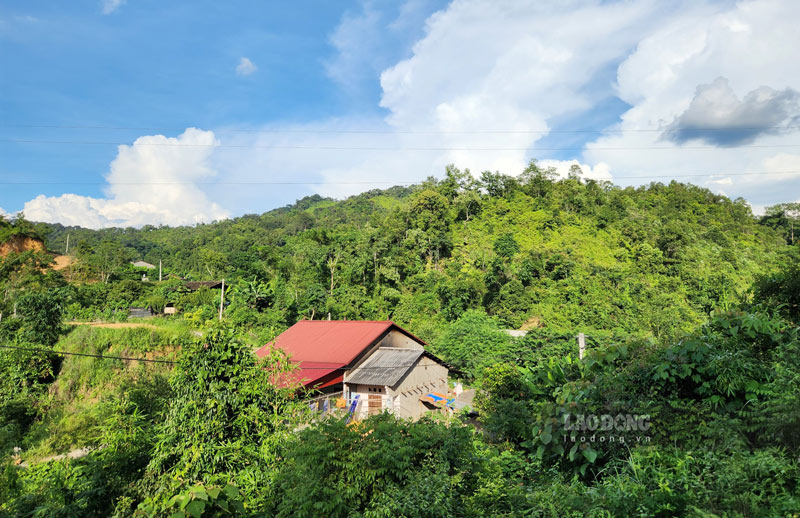 Những người dân sống bên rừng nhưng lại không thể làm kinh tế rừng. Ảnh: Tân Văn.