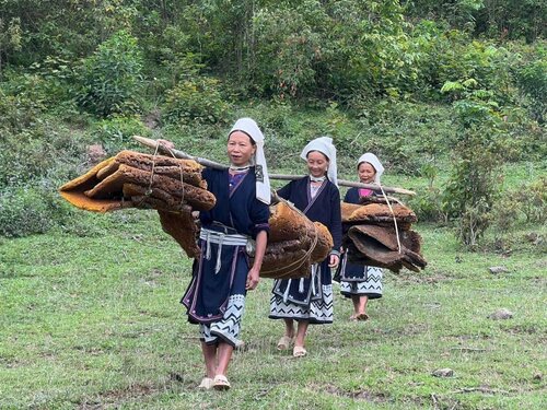 Lễ hội Thu hoạch sáp ong đá thu hút du khách đến Cao Bằng