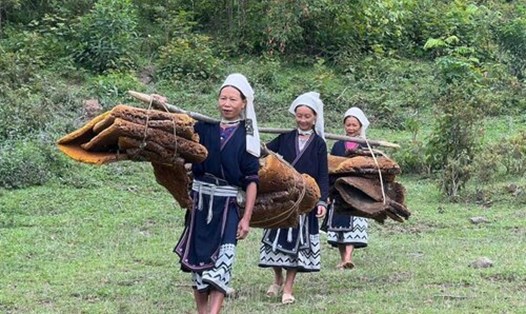 Người dân gánh những sáp ong đến tham dự lễ hội. Ảnh: Nguyên Bình