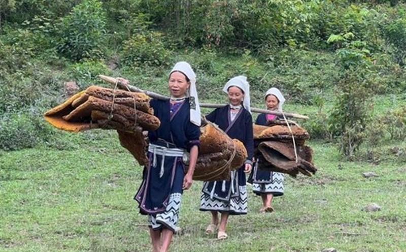 Người dân gánh những sáp ong đến tham dự lễ hội. Ảnh: Nguyên Bình