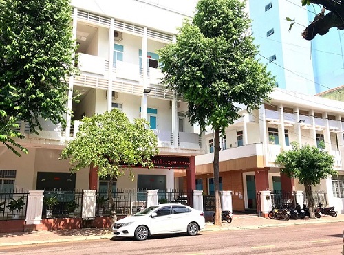 Binh Dinh은 최근 단위별 공용 자동차 할당량을 발표했습니다. 삽화: Binh Dinh 전자 정보 포털