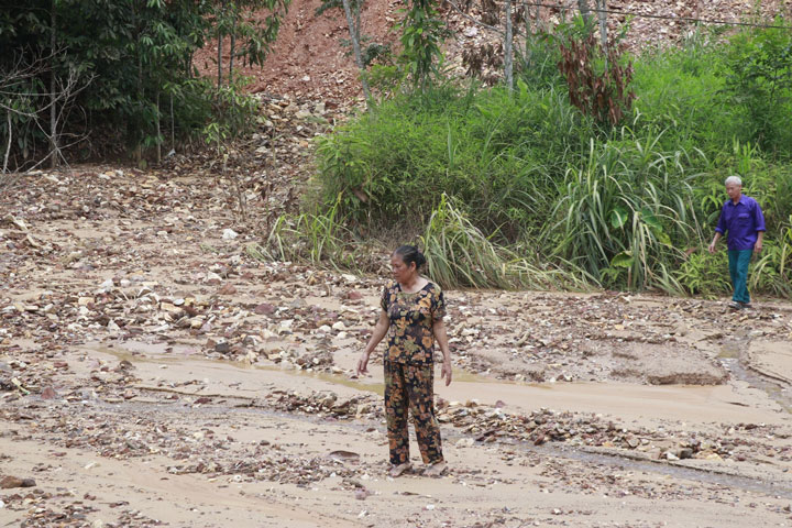 Ảnh: Bảo Nguyên