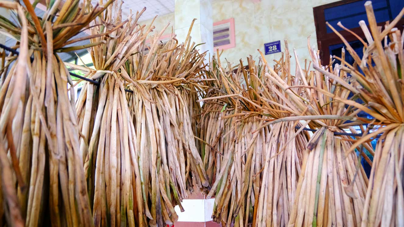 Selling dried water hyacinth brings a stable source of income for people in the West. Photo: My Ly