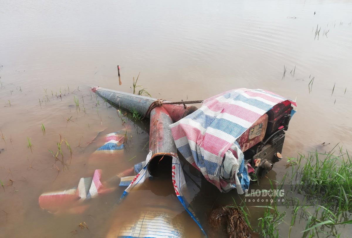 The pumps on the shore used to pump out field water also flooded during prolonged heavy rain.