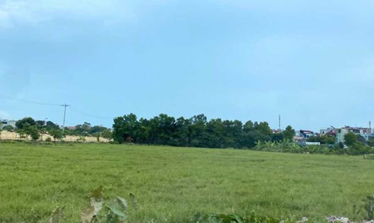 Phân khúc đất nền đang lấy lại đà tăng trưởng sau thời gian đối mặt với nhiều khó khăn. Ảnh: Linh Trang