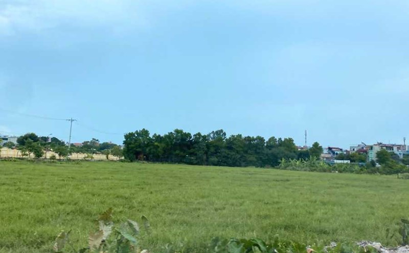 Phân khúc đất nền đang lấy lại đà tăng trưởng sau thời gian đối mặt với nhiều khó khăn. Ảnh: Linh Trang