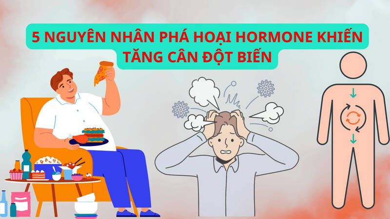 5 nguyên nhân phá hoại hormone khiến tăng cân đột biến