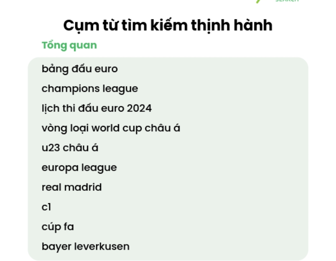 Các từ khóa về EURO 2024 thu hút sự quan tâm của người dùng Việt Nam. Ảnh: Chụp màn hình