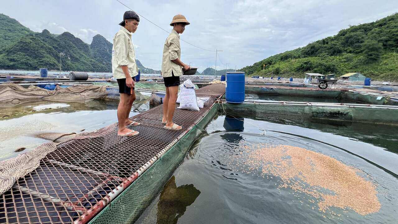Hoạt động đánh bắt, nuôi trồng thủy sản của người dân diễn ra như bình thường. Ảnh: Minh Nguyễn