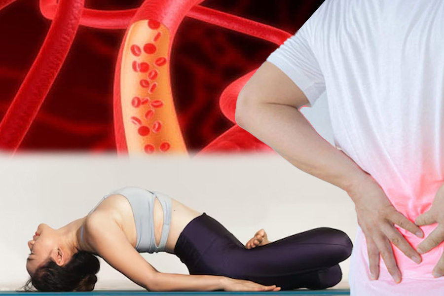 Lợi ích của tư thế con cá trong yoga đối với sức khoẻ. Đồ hoạ: Thiện Nhân