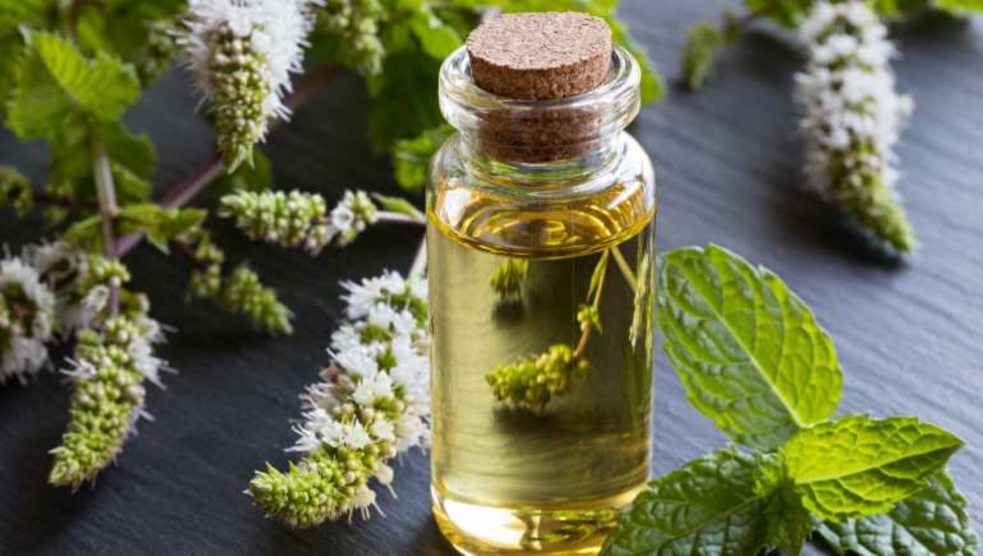 Peppermint essential oil helps reduce dark eye circles. Photo source: Shutterstock