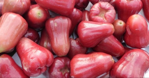 鞭は血糖を制御し、糖尿病を防ぐのに役立つと考えられています。写真：Kieu Vu