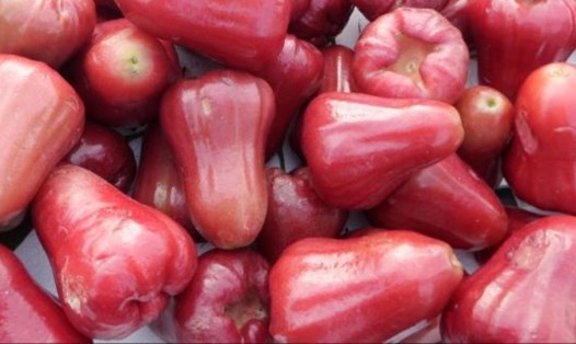 Quả roi được cho là có tác dụng hỗ trợ kiểm soát đường huyết, ngăn ngừa bệnh tiểu đường. Ảnh: Kiều Vũ