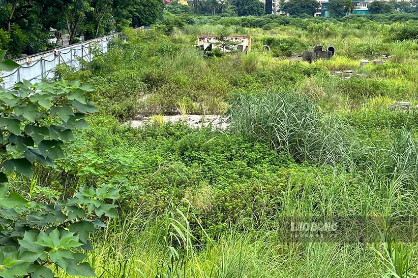 “Vì nhà gần lô đất nên gia đình tôi thường xuyên phải đóng cửa ban công và cửa sổ do nhiều muỗi. Trước đây tôi mua căn hộ gần lô đất vì kỳ vọng sau này khu vực sống sẽ có sân chơi cho trẻ và nhiều tiện ích phục vụ đời sống ngay gần nhà. Tuy nhiên, nhiều người dân sống quay đây cũng như tôi, cảm thấy khá hụt hẫng do phải sống cạnh một bãi đất trống nhếch nhác và ngập rác”, chị Loan nói.