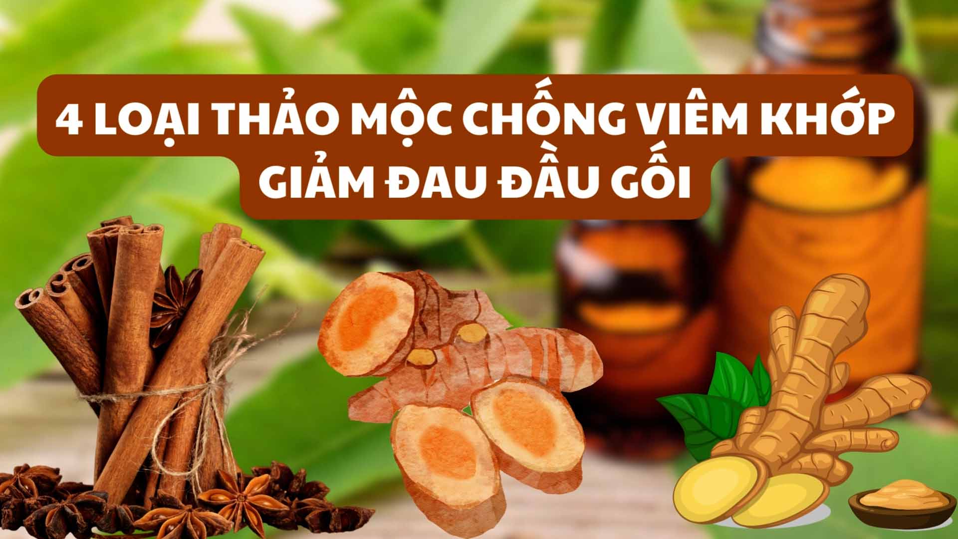4 loại thảo mộc chống viêm khớp, giảm đau đầu gối