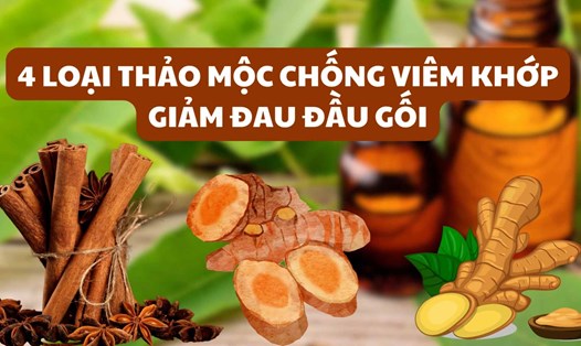 4 loại thảo mộc chống viêm khớp, giảm đau đầu gối