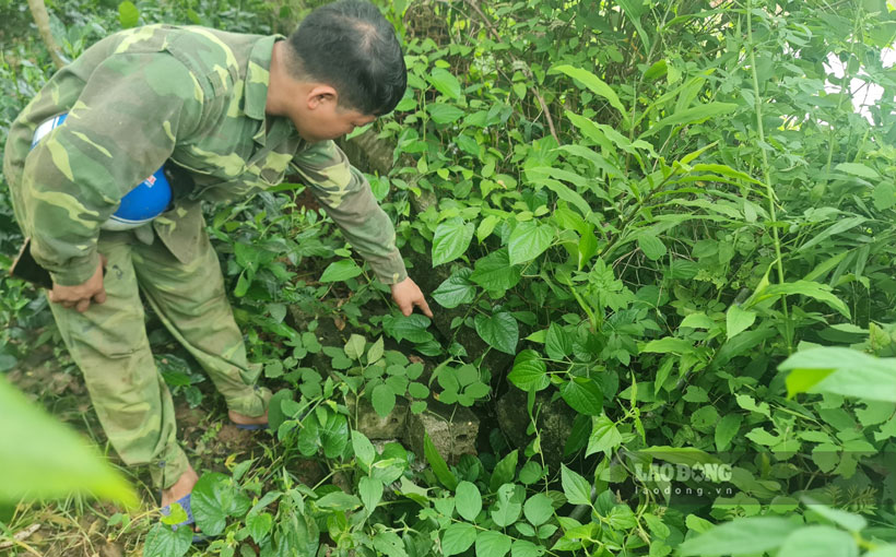 Theo lời người dân, hàng rào, đất trồng cây ven sông Chảy của họ cứ nứt toác và nguy cơ trôi tuột do ảnh hưởng của khai thác cát. Ảnh: Bảo Nguyên