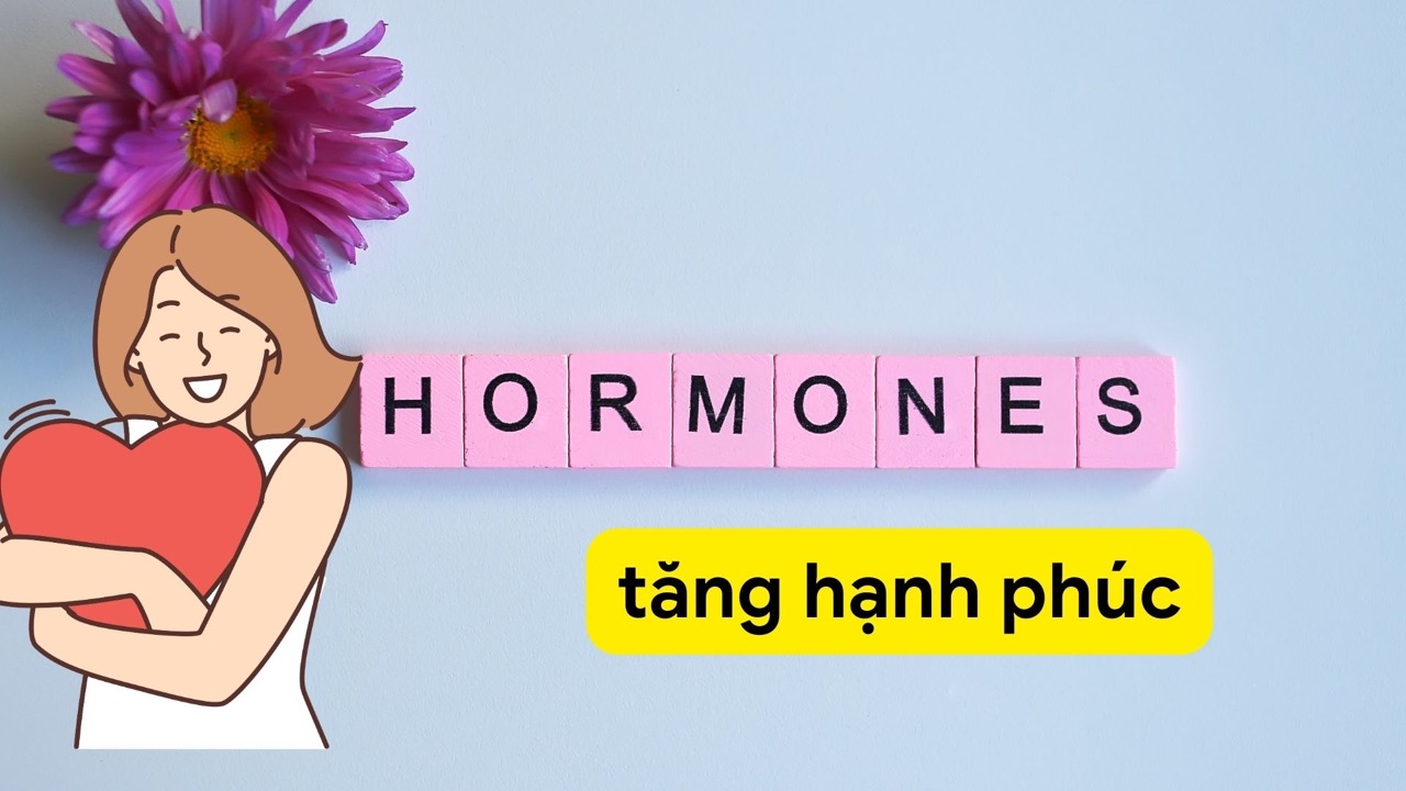 Những món ăn tăng hormone "hạnh phúc". Ảnh ghép: HƯƠNG SƠN
