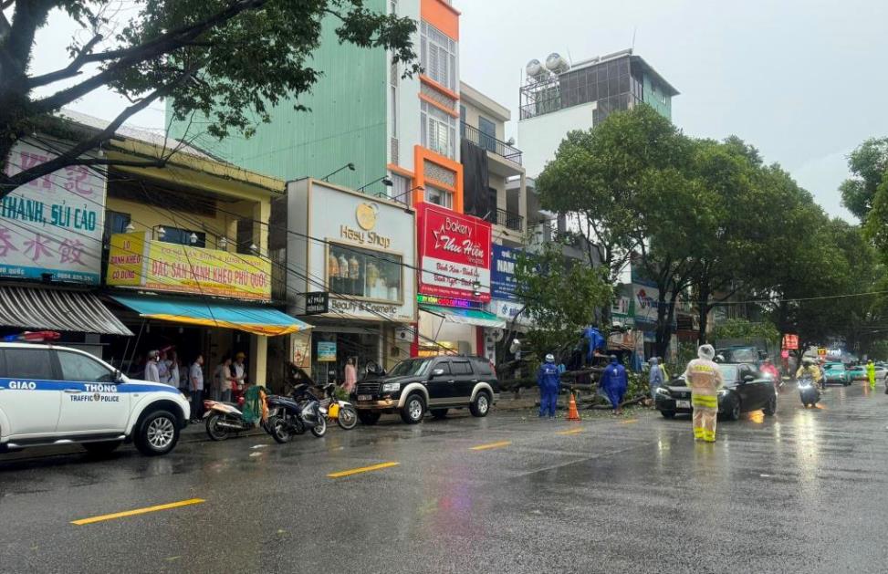 Tree uprooted after a thunderstorm in Phu Quoc City. Photo: Xuan Nhi