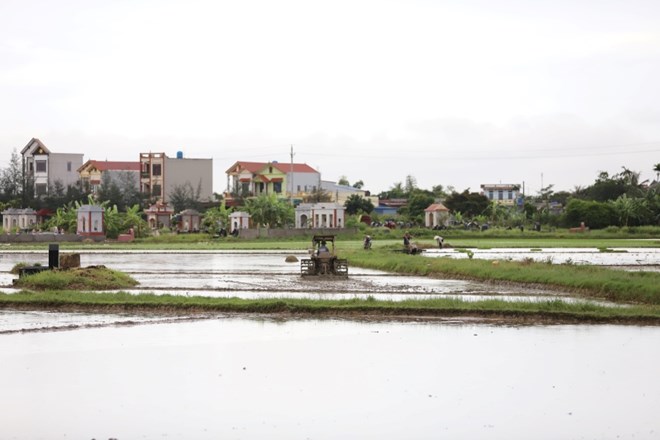 Giá đền bù đất trồng lúa khi bị thu hồi mới nhất hiện nay