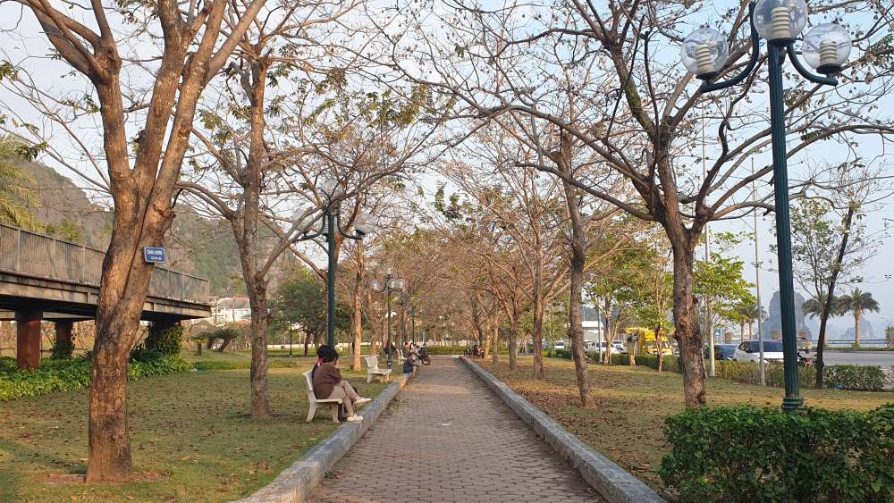 A corner of Ha Long Flower Park. Photo: Nguyen Hung