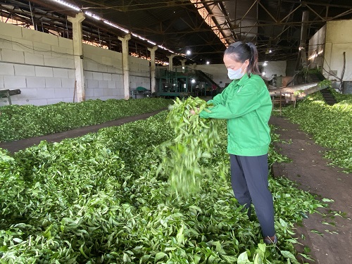 Protecting workers' rights is the responsibility of each Grassroots Trade Union Leader. Photo: Thanh Tuan