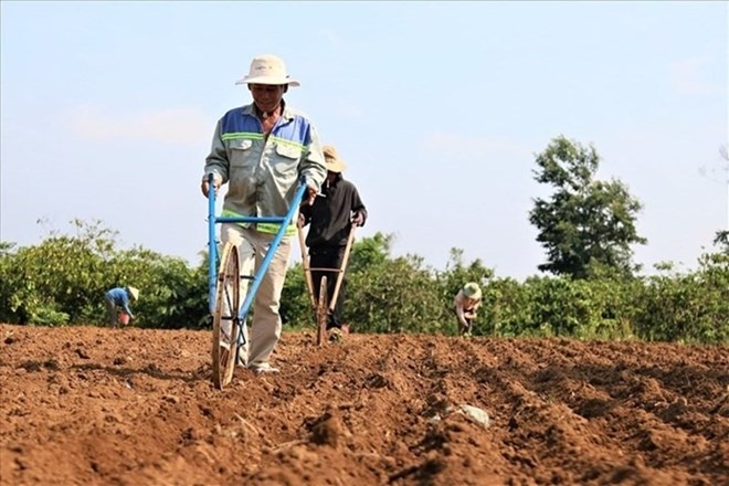 Một số lưu ý khi chuyển đất trồng hoa màu sang đất thổ cư