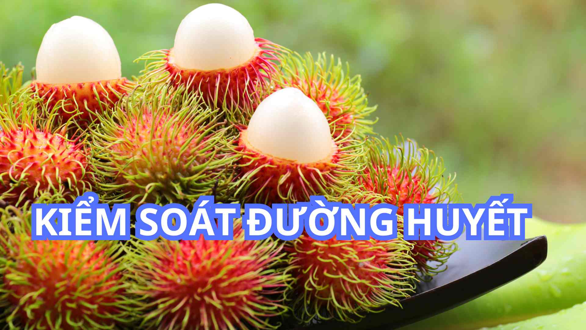 血糖値をコントロールするのに役立つチムチムの5つの利点。写真:トゥエ・ニー