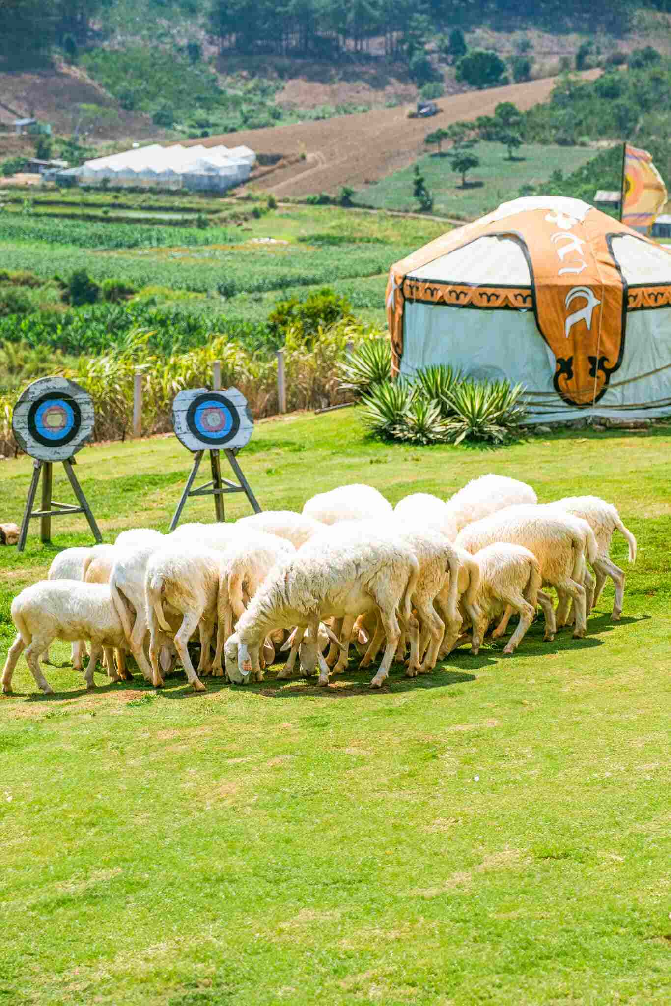 In addition to miniature landscapes on the steppe, Mongo Land Dalat has a farm with more than 20 species of animals such as goats, two-humped camels, alpacas, rabbits, roe deer, parrots... and especially the "minister of foreign affairs". ” capypara.