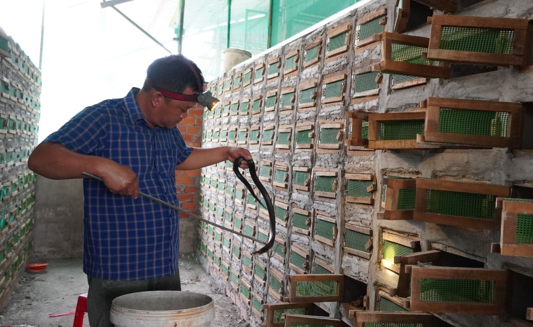 Snake cages are carefully designed. Photo: Phuong Anh