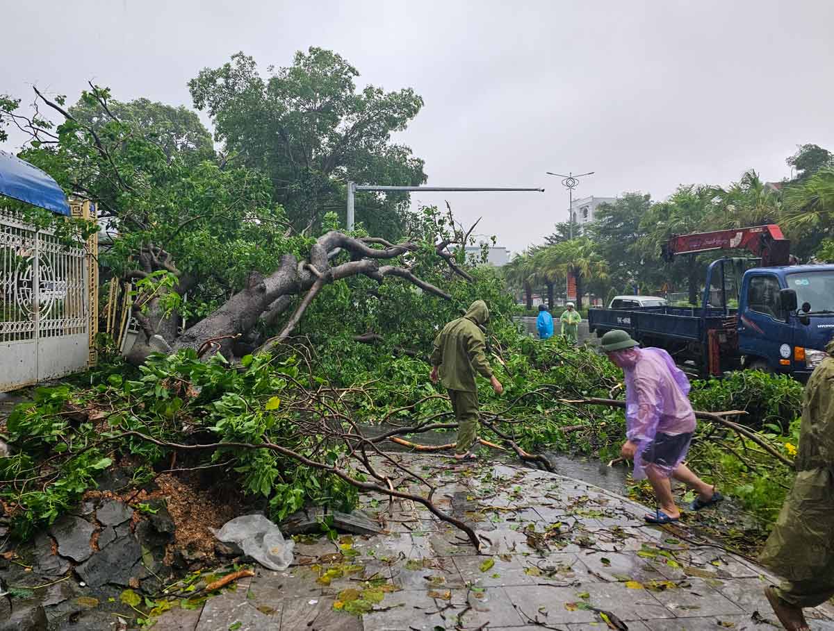 Broken trees in Hong Ha ward, Ha Long city, Quang Ninh province. Photo: Doan Hung