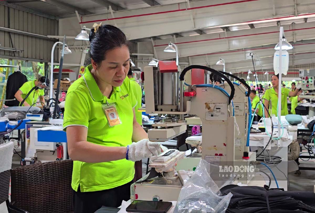 Workers and laborers working at Tan De Garment Company. Photo: Luong Ha