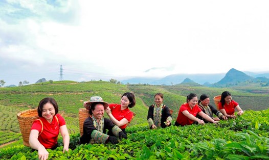 Nguồn: Agribank