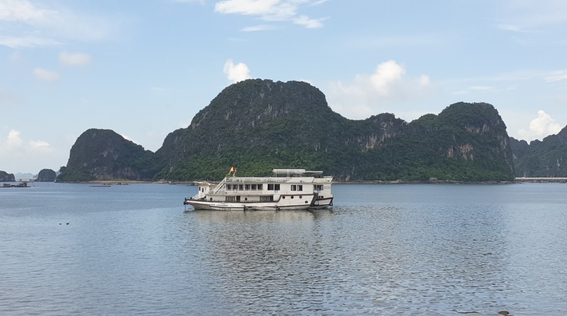 Old cruise ships were bought from Ha Long Bay and brought to Bai Tu Long Bay but were never put into operation. Photo: Nguyen Hung