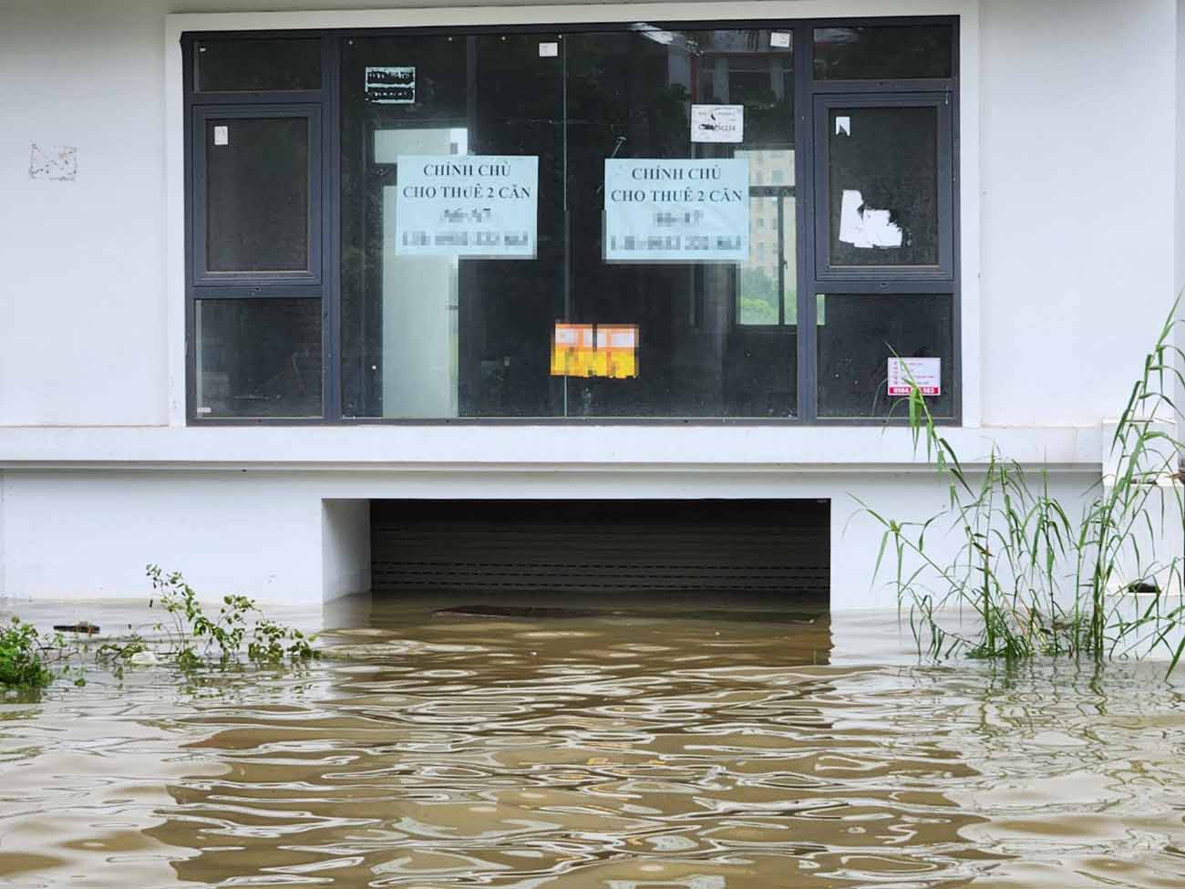 Many adjacent houses were previously listed for sale but still have no owners, after the heavy rain and flooding. Photo: Cao Nguyen.