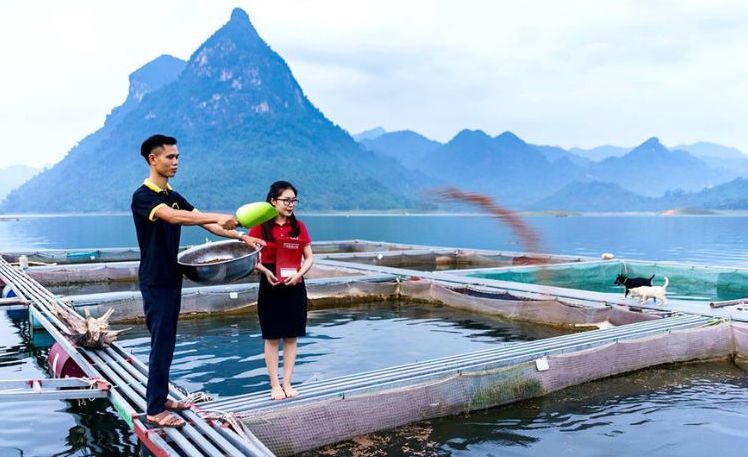 Agribank chi nhánh Tuyên Quang hỗ trợ, tạo lực cho doanh nghiệp phát triển.