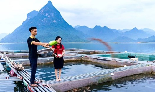 Agribank chi nhánh Tuyên Quang hỗ trợ, tạo lực cho doanh nghiệp phát triển.