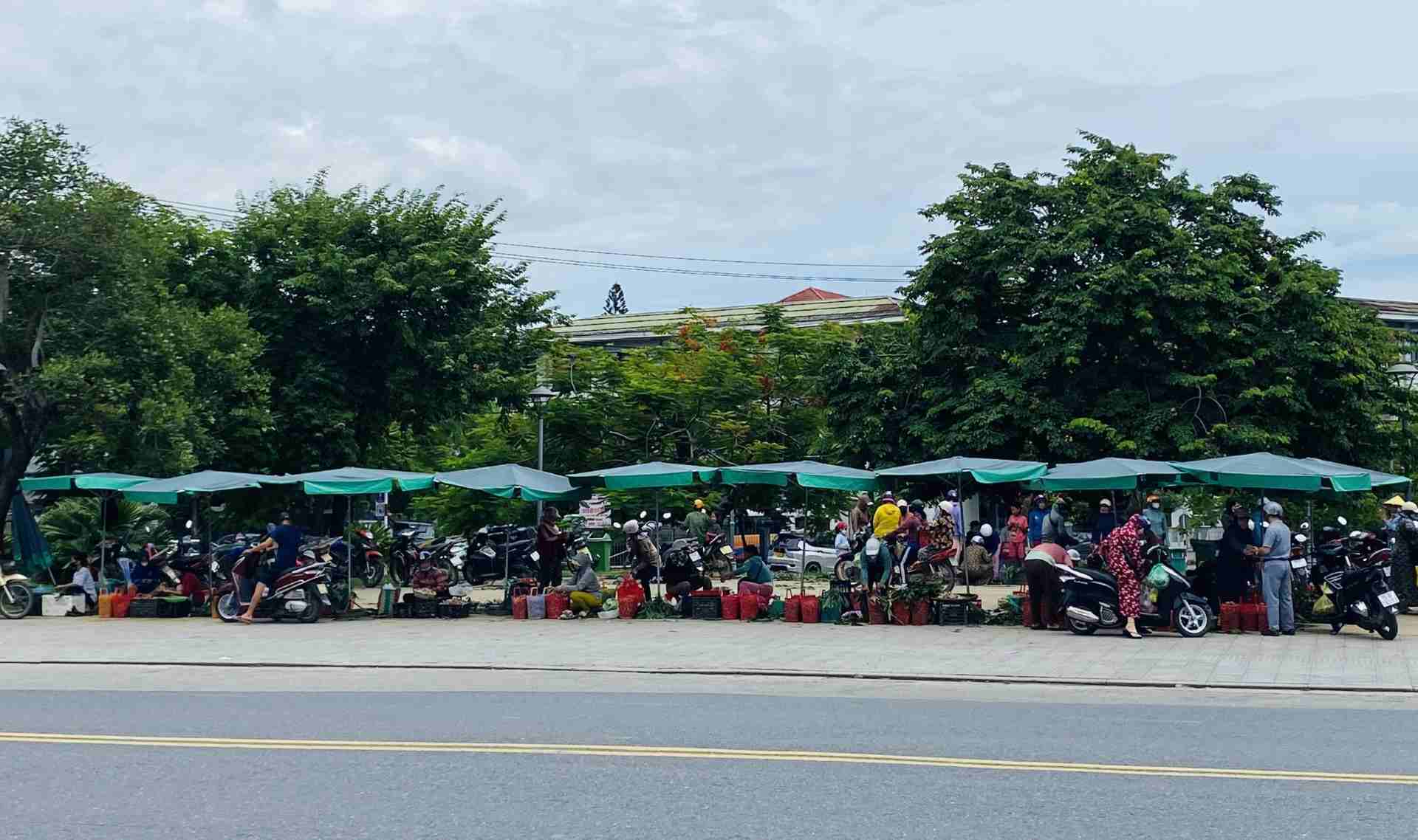 Những ngày này, bước vào mùa mưa là thời điểm mà khu chợ “nấm tràm” xuất hiện nhộn nhịp ở phía trước đàn Nam Giao (TP. Huế).