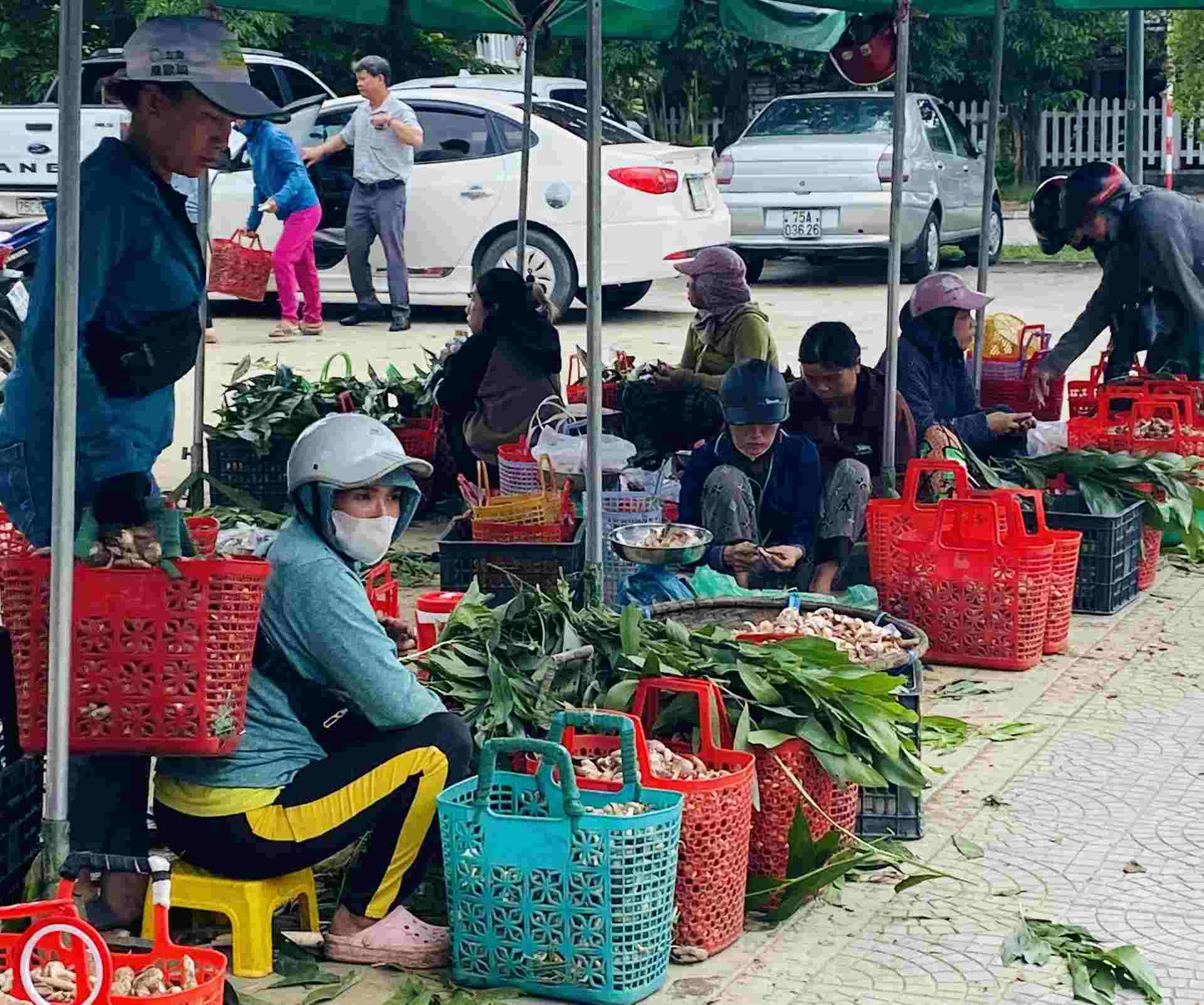 "My mother and I took the opportunity to leave early and return late. Some days we could pick dozens of kilograms and sell them all, earning millions of dollars," said Ms. Ha.