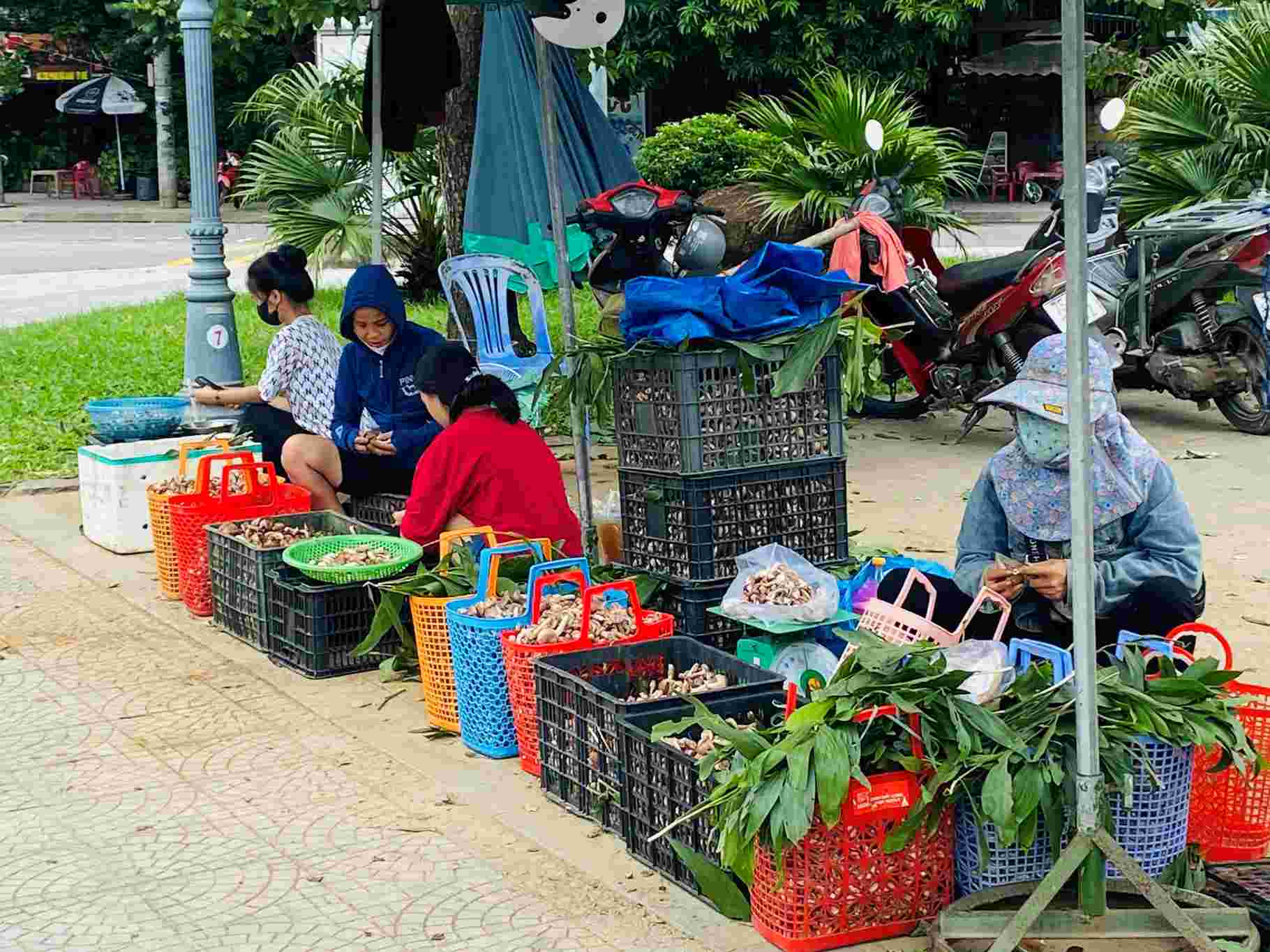 Ms. Dieu Linh (residing in Hue City) said that she and her family especially like melaleuca mushrooms because they can prepare many delicious dishes such as stir-frying with vegetables and potatoes, cooking porridge,... "One day the mushroom market has reasonable prices, I Buy a lot of kilograms and prepare them cleanly, put them in small packages, then freeze them in the refrigerator and use them gradually when the mushroom season is over" - Ms. Linh shared.