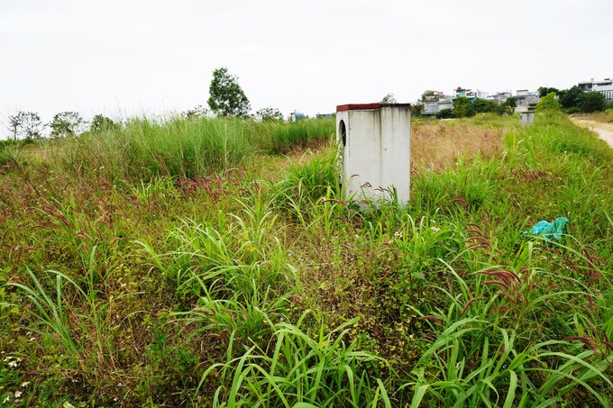  Dự án khu dân cư trục đường Mỹ Trà - Mỹ Khê ở Quảng Ngãi có tổng mức đầu tư gần 400 tỉ đồng, nhưng sau 9 năm dự án vẫn là bãi cỏ hoang, gây lãng phí rất lớn. Ảnh: Viên Nguyễn