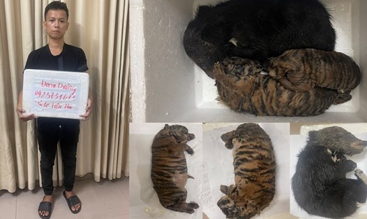 Đối tượng Dương Minh Đoàn và tang vật là 3 cá thể động vật quý hiếm đông lạnh tại cơ quan điều tra. Ảnh: Công an huyện Tiền Hải