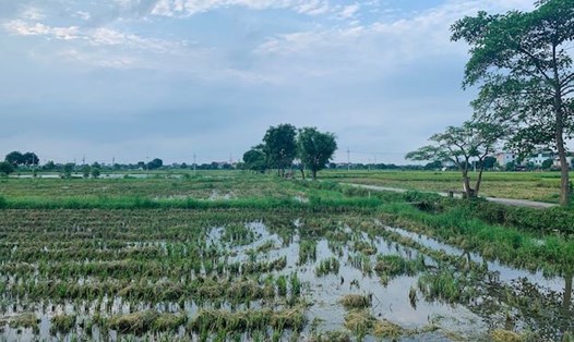 Khi Nhà nước thu hồi đất, người dân sẽ được đền bù bằng đất hoặc tiền, tuỳ từng trường hợp cụ thể. Ảnh: Phương Anh