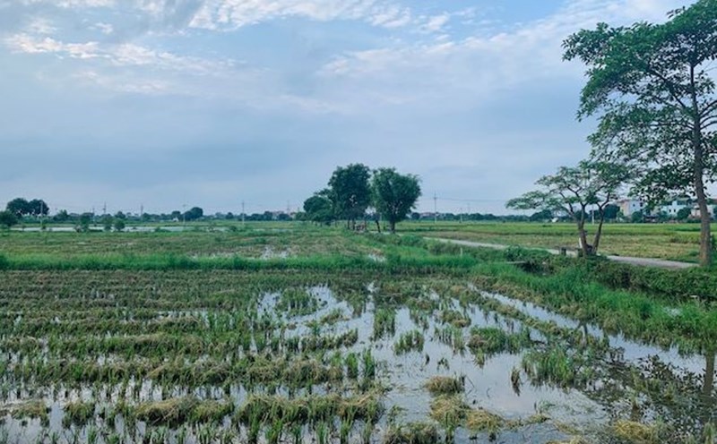 Khi Nhà nước thu hồi đất, người dân sẽ được đền bù bằng đất hoặc tiền, tuỳ từng trường hợp cụ thể. Ảnh: Phương Anh