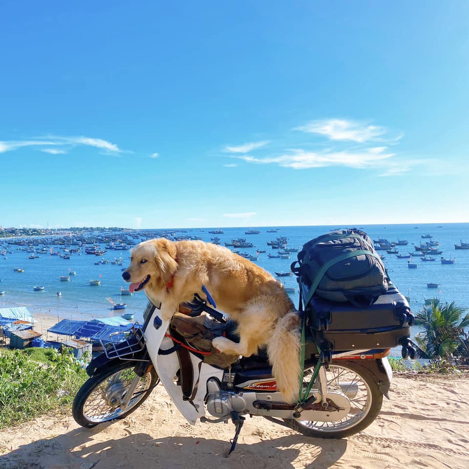 Regarding the reason why Canon appears in most long travel stories, Mr. Tung said: "I am a person who travels often, so I also want to take Canon with me so that my child can experience and see the outside world." with me always". Photo: Thanh Tung