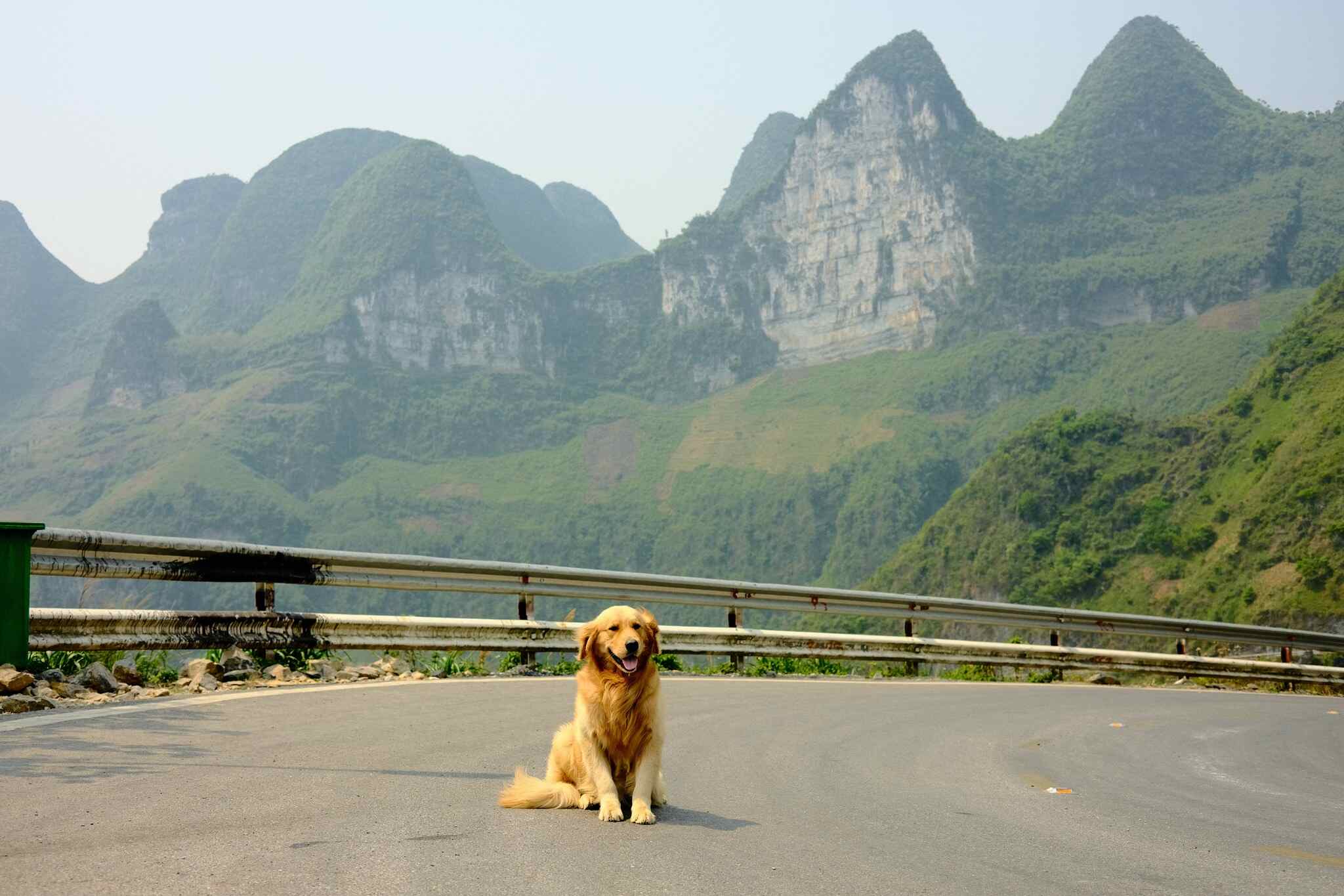 “The most memorable memory was when Canon and I went to Hoi An, there was a group of Western tourists engrossed in taking photos of our baby, filling the street. In the end, the sales lady had to tell me to take Canon downstairs to make the road clear" - Mr. Tung happily said.