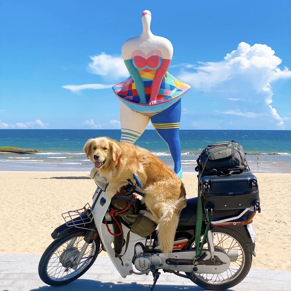 Regarding Canon, he affirmed that the baby is used to traveling with his owner and is often moved to explore new lands. Canon seems quite excited every time he sees his owner loading things onto his motorbike because he knows he will be ready to go out.