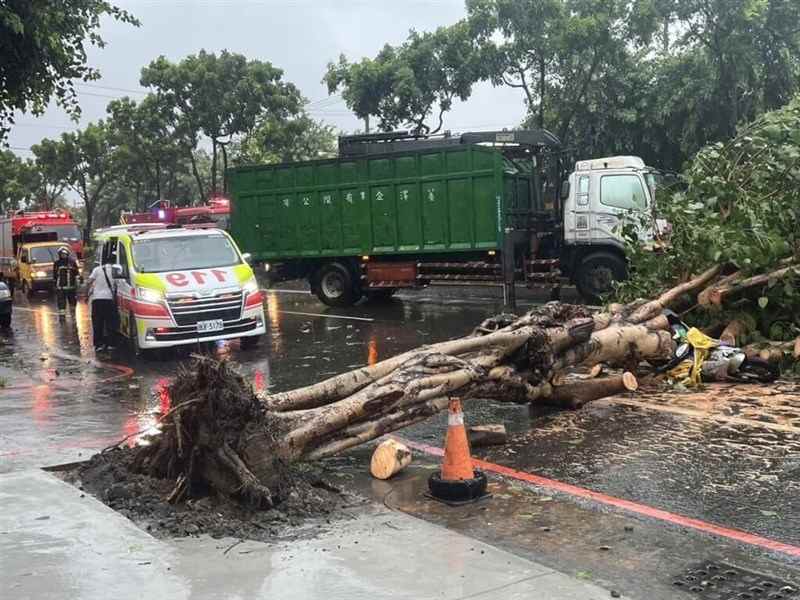 Trees fell due to Typhoon Gaemi on July 24 in Kaohsiung. Photo: Kaohsiung City Fire Department, Taiwan (China)